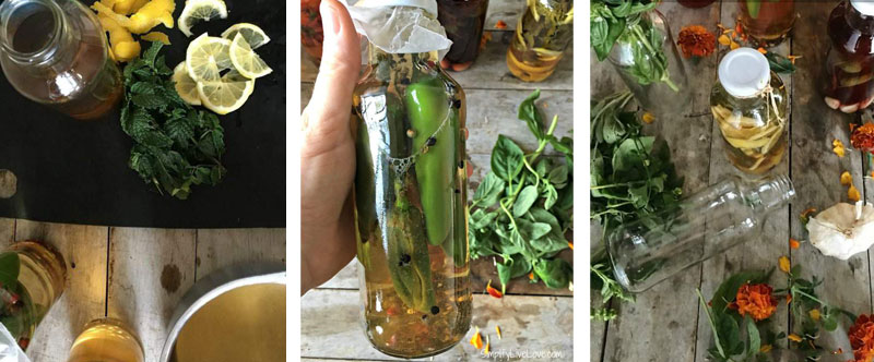 DIY- Homemade Gourmet Vinegar Flavors in Glass Beverage Bottles