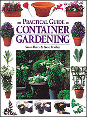 Practical Guide to Container Gardening