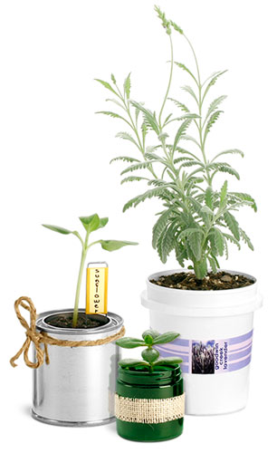 Container Gardening Supplies