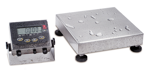 Champ SQ Washdown Industrial Bench Digital Scales