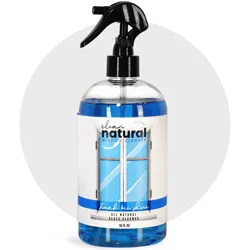 Restaurant Cleaning Containers