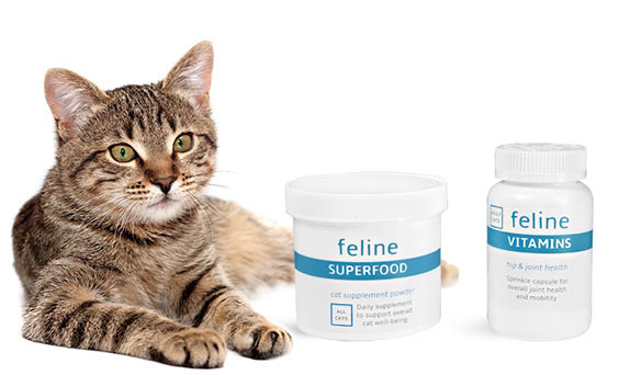 Cat Supplement Bottles and Jars 