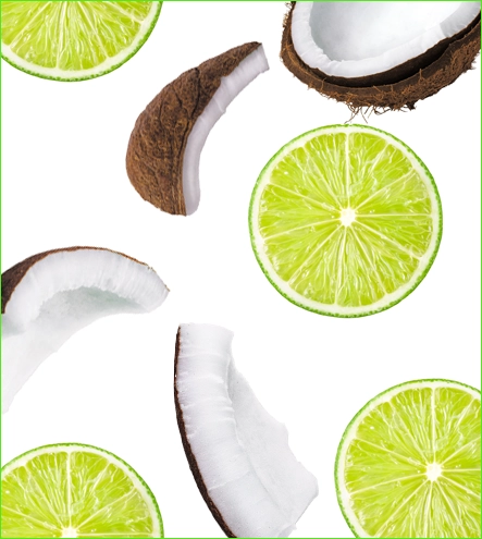 Vegan Coconut Lime Lip Balm