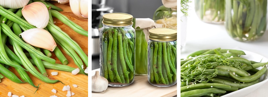 Homemade - Pickled Green Beans in Glass Pickling Jars