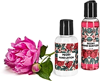 Mini Hand Lotion Bottles