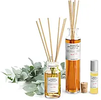 Glass Essential Oil Diffuser Bottles