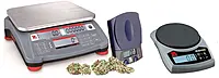 Cannabis Dispensary Scales   