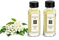 Mini Cologne Bottles