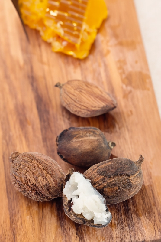 Shea Butter Lip Balm